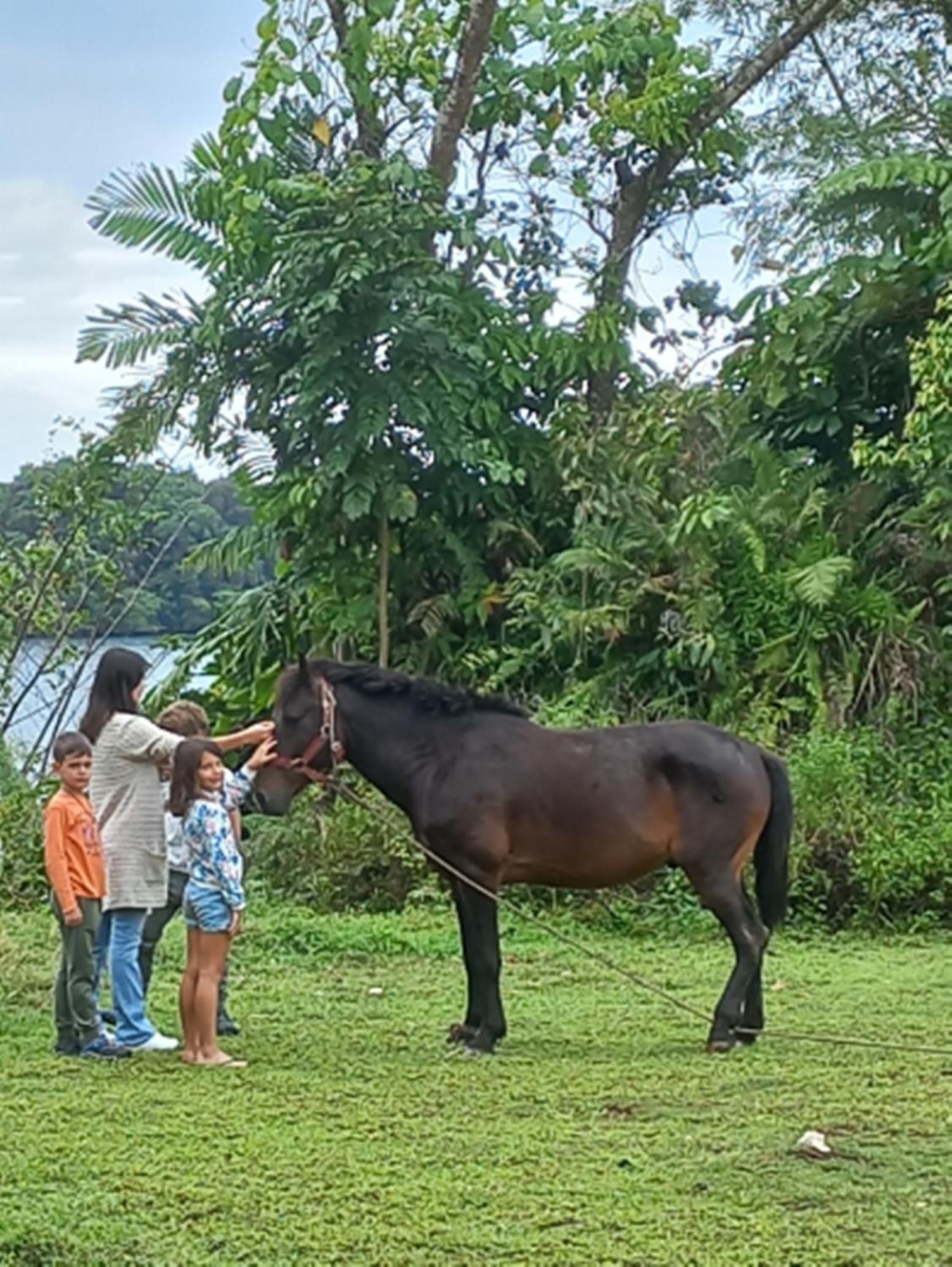 Suva Hideaway Villa Luaran gambar